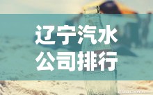遼寧汽水公司排行榜揭曉，誰領風騷？