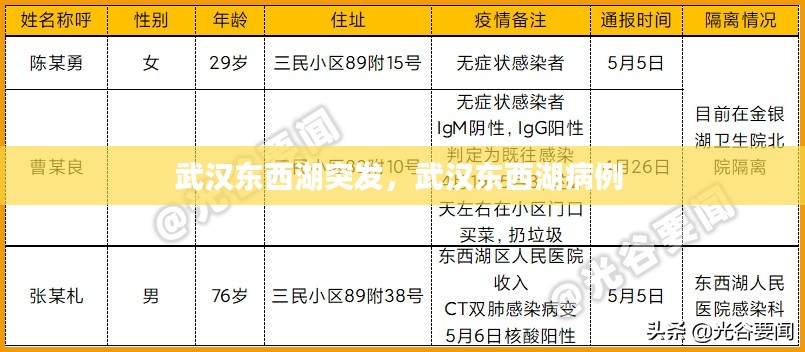 武漢東西湖突發(fā)，武漢東西湖病例 