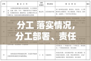 分工 落實(shí)情況，分工部署、責(zé)任落實(shí) 