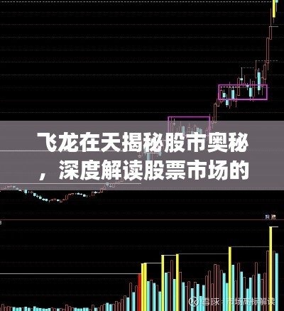 飛龍在天揭秘股市奧秘，深度解讀股票市場的風云變幻