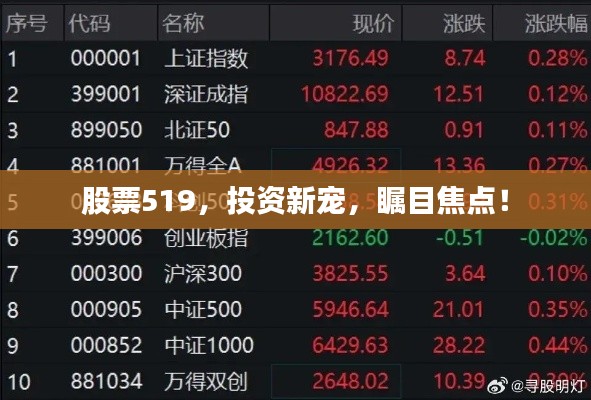 股票519，投資新寵，矚目焦點！
