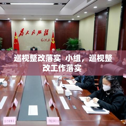 巡視整改落實  小組，巡視整改工作落實 