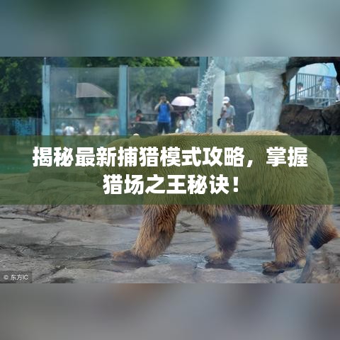 揭秘最新捕獵模式攻略，掌握獵場之王秘訣！