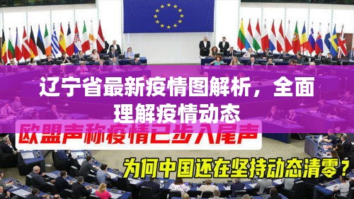 遼寧省最新疫情圖解析，全面理解疫情動態(tài)