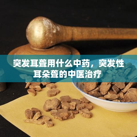 突發(fā)耳聾用什么中藥，突發(fā)性耳朵聾的中醫(yī)治療 