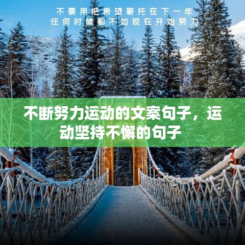不斷努力運(yùn)動(dòng)的文案句子，運(yùn)動(dòng)堅(jiān)持不懈的句子 