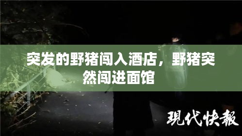在線留言 第14頁