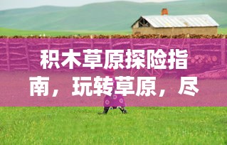 積木草原探險(xiǎn)指南，玩轉(zhuǎn)草原，盡享樂趣！