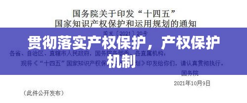 貫徹落實(shí)產(chǎn)權(quán)保護(hù)，產(chǎn)權(quán)保護(hù)機(jī)制 