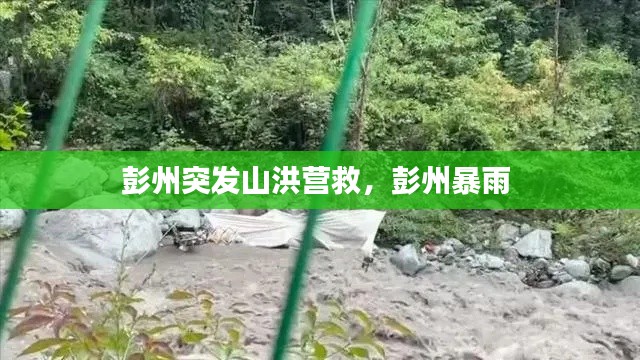 彭州突發(fā)山洪營救，彭州暴雨 