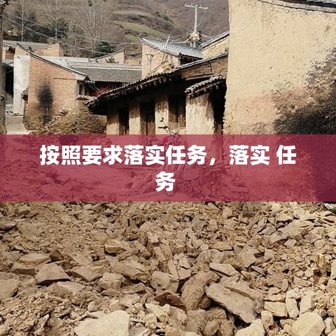 按照要求落實任務，落實 任務 