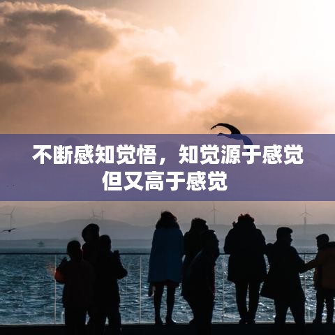 不斷感知覺悟，知覺源于感覺但又高于感覺 