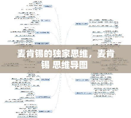 麥肯錫的獨(dú)家思維，麥肯錫 思維導(dǎo)圖 