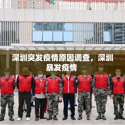 公司概況 第12頁
