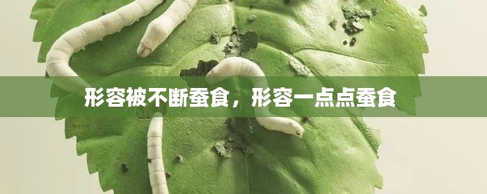 形容被不斷蠶食，形容一點(diǎn)點(diǎn)蠶食 