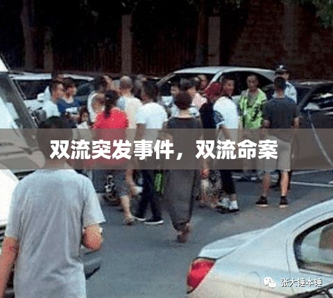雙流突發(fā)事件，雙流命案 
