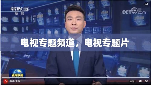 電視專題頻道，電視專題片 