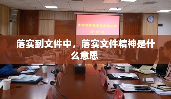 落實到文件中，落實文件精神是什么意思 
