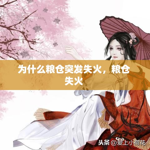 為什么糧倉突發(fā)失火，糧倉 失火 