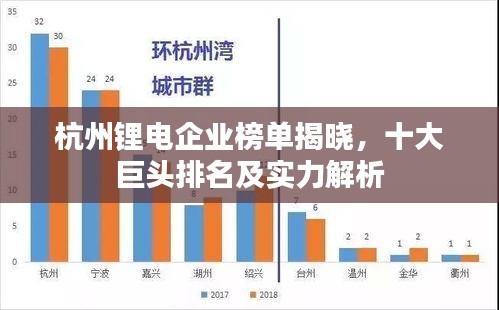 杭州鋰電企業(yè)榜單揭曉，十大巨頭排名及實力解析