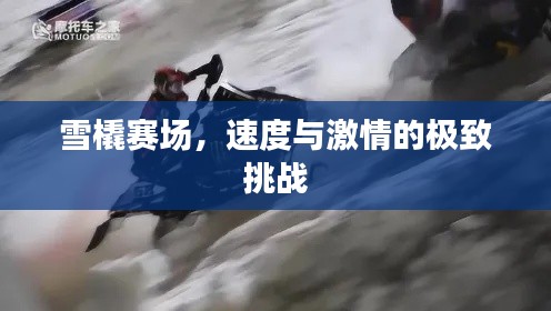 雪橇賽場(chǎng)，速度與激情的極致挑戰(zhàn)