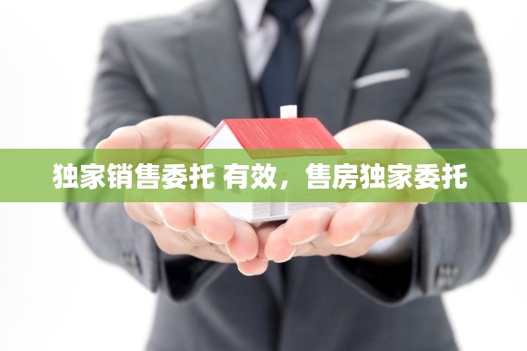 獨(dú)家銷售委托 有效，售房獨(dú)家委托 