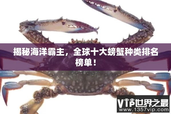 揭秘海洋霸主，全球十大螃蟹種類排名榜單！