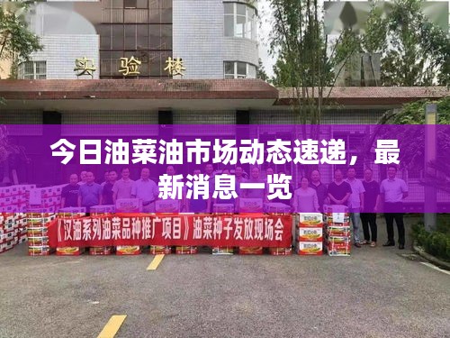 今日油菜油市場動態(tài)速遞，最新消息一覽