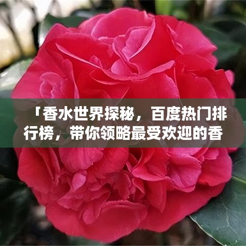 「香水世界探秘，百度熱門排行榜，帶你領(lǐng)略最受歡迎的香水香氣」