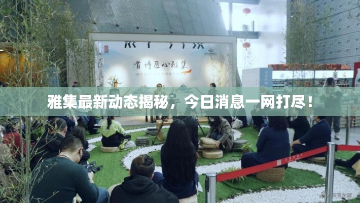 雅集最新動(dòng)態(tài)揭秘，今日消息一網(wǎng)打盡！