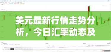 美元最新行情走勢分析，今日匯率動態(tài)及市場解讀