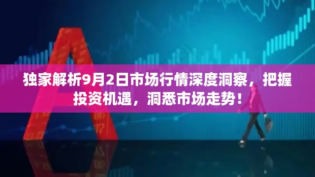 獨(dú)家解析9月2日市場(chǎng)行情深度洞察，把握投資機(jī)遇，洞悉市場(chǎng)走勢(shì)！