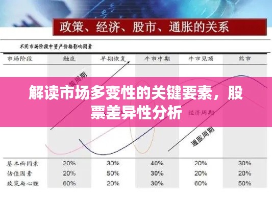 解讀市場(chǎng)多變性的關(guān)鍵要素，股票差異性分析