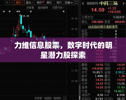 力維信息股票，數字時代的明星潛力股探索
