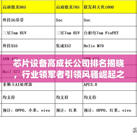 芯片設備高成長公司排名揭曉，行業(yè)領軍者引領風騷崛起之路揭秘