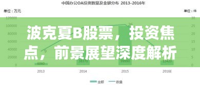 波克夏B股票，投資焦點(diǎn)，前景展望深度解析