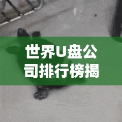 世界U盤公司排行榜揭曉，行業(yè)巨頭一覽無余！