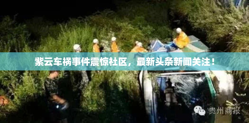 紫云車禍?zhǔn)录痼@社區(qū)，最新頭條新聞關(guān)注！