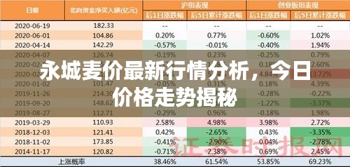 永城麥價(jià)最新行情分析，今日價(jià)格走勢(shì)揭秘