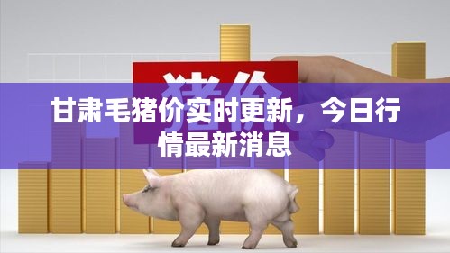 甘肅毛豬價實時更新，今日行情最新消息