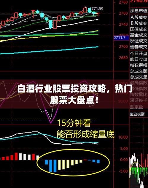 白酒行業(yè)股票投資攻略，熱門股票大盤點！
