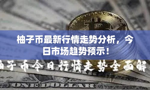 百不得一