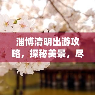 淄博清明出游攻略，探秘美景，盡享文化盛宴！
