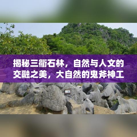 如翚斯飛
