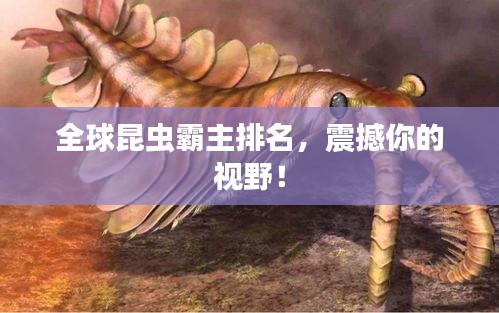 高談闊論