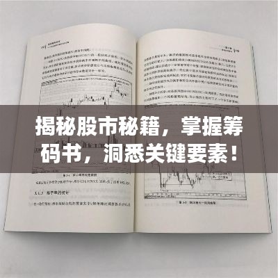 揭秘股市秘籍，掌握籌碼書，洞悉關(guān)鍵要素！