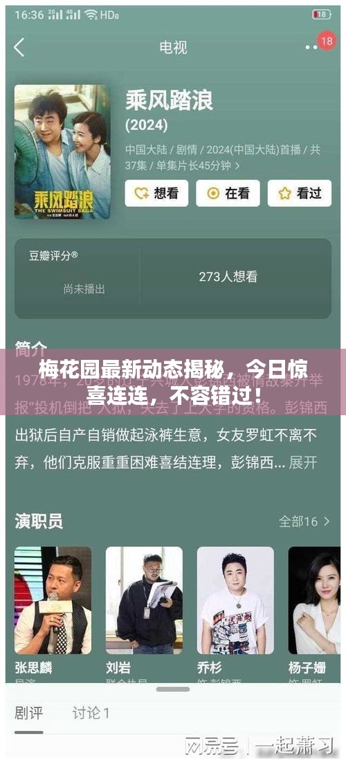 梅花園最新動態(tài)揭秘，今日驚喜連連，不容錯過！