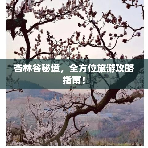 杏林谷秘境，全方位旅游攻略指南！