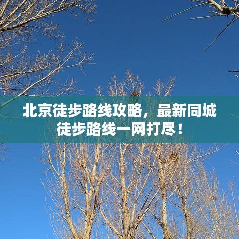 qiongniaoruhuai