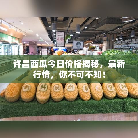 許昌西瓜今日價(jià)格揭秘，最新行情，你不可不知！